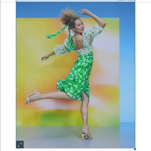 Plus Size Rixo Green Floral Midi Dress